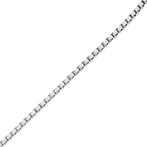 hopeinen venetsiaketju riipukseen