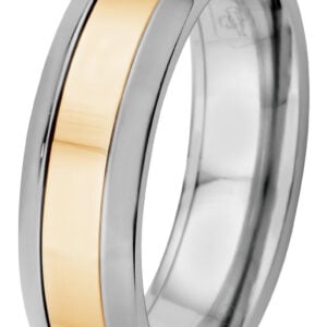 Duetto titaaninen kihlasormus kultakeskus