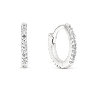 Saranalliset hopeakorvarenkaat,