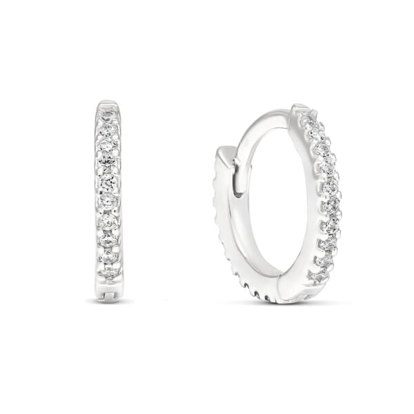 Saranalliset hopeakorvarenkaat,