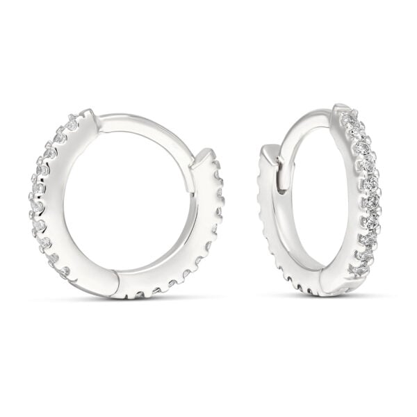 Saranalliset hopeakorvarenkaat,