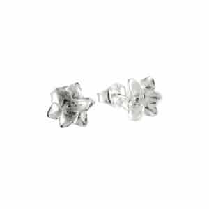 Tammi Jewelry Tulppaanikorvakorut S4495